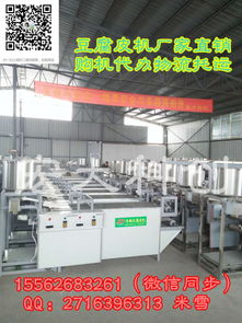 濟南宏大科創(chuàng)2017新款豆腐皮機 價格解析與技術交流
